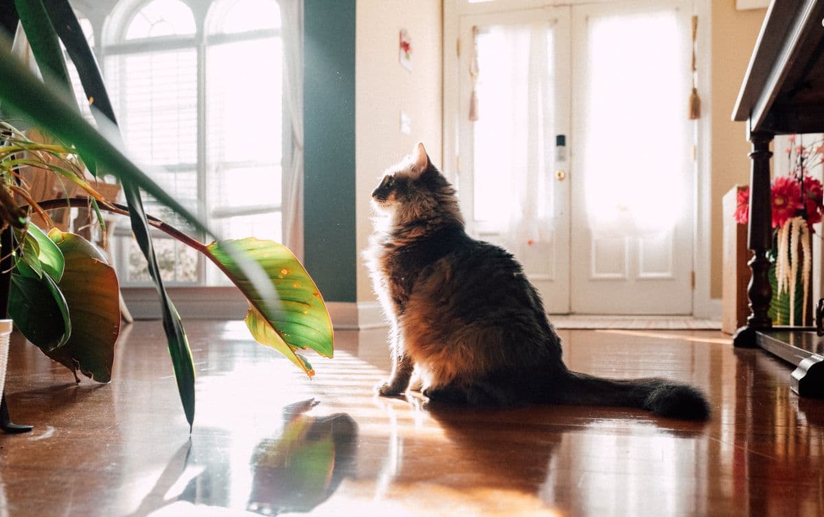 Photography by Shiva — Portraits