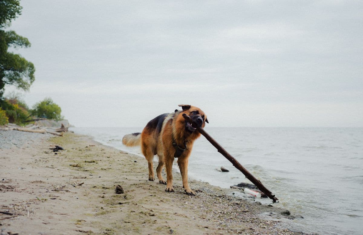 Photography by Shiva — Travel